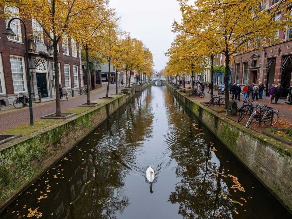 A tree-lined canal in Delft in autumn