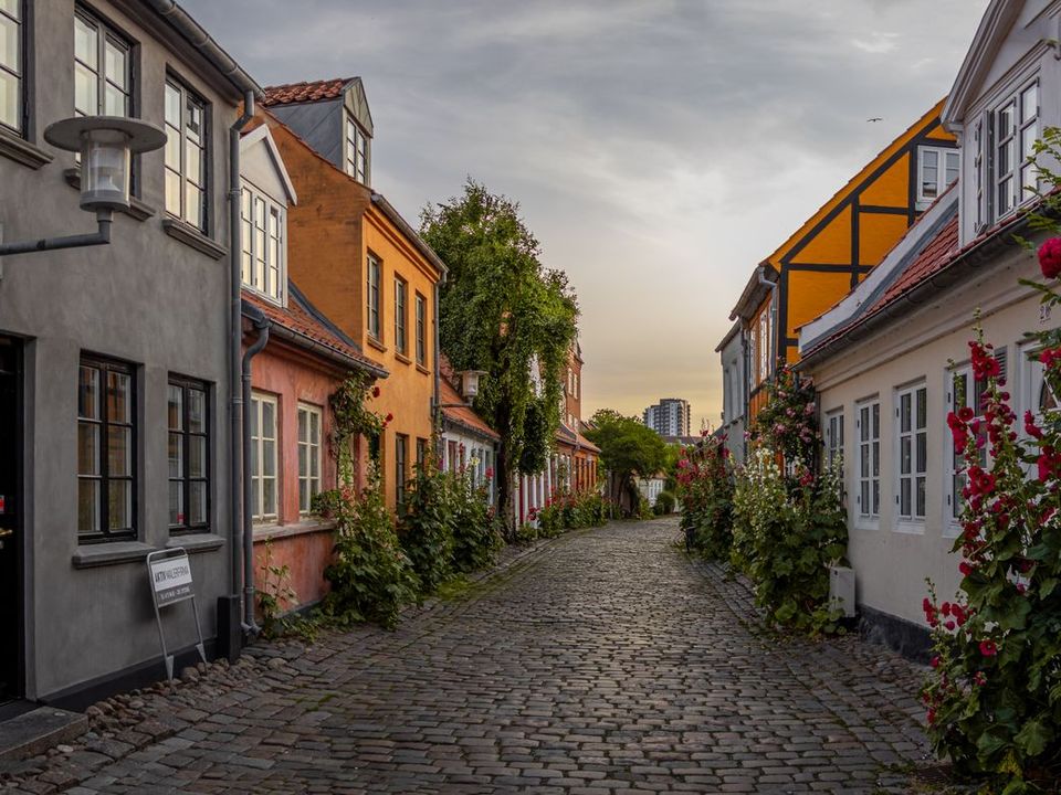 A cobbled lane of old painted houses with roses in Aarhus