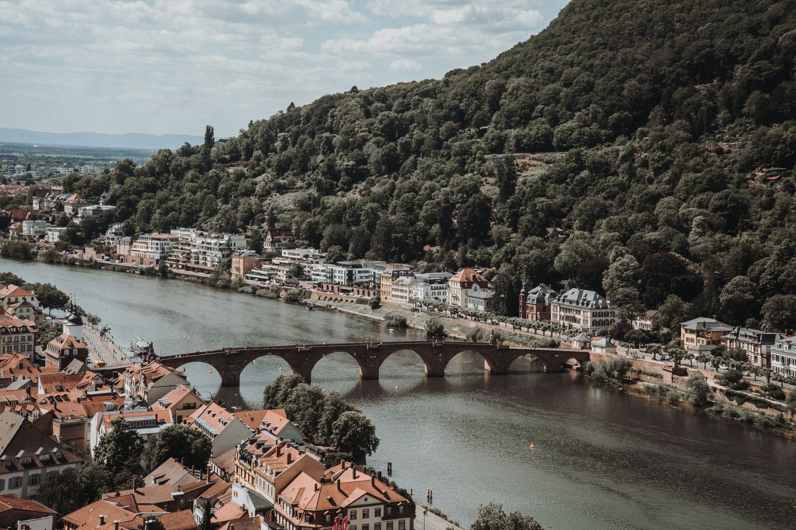Heidelberg's old bridge and the Neckar River below a forested hill