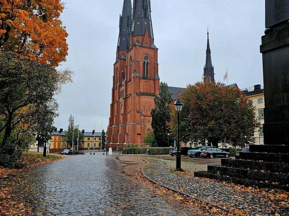 Uppsala Cathedral seen down a street in autumn